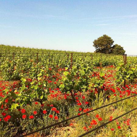 迈森德玛戈酒店 Peyriac-Minervois 外观 照片