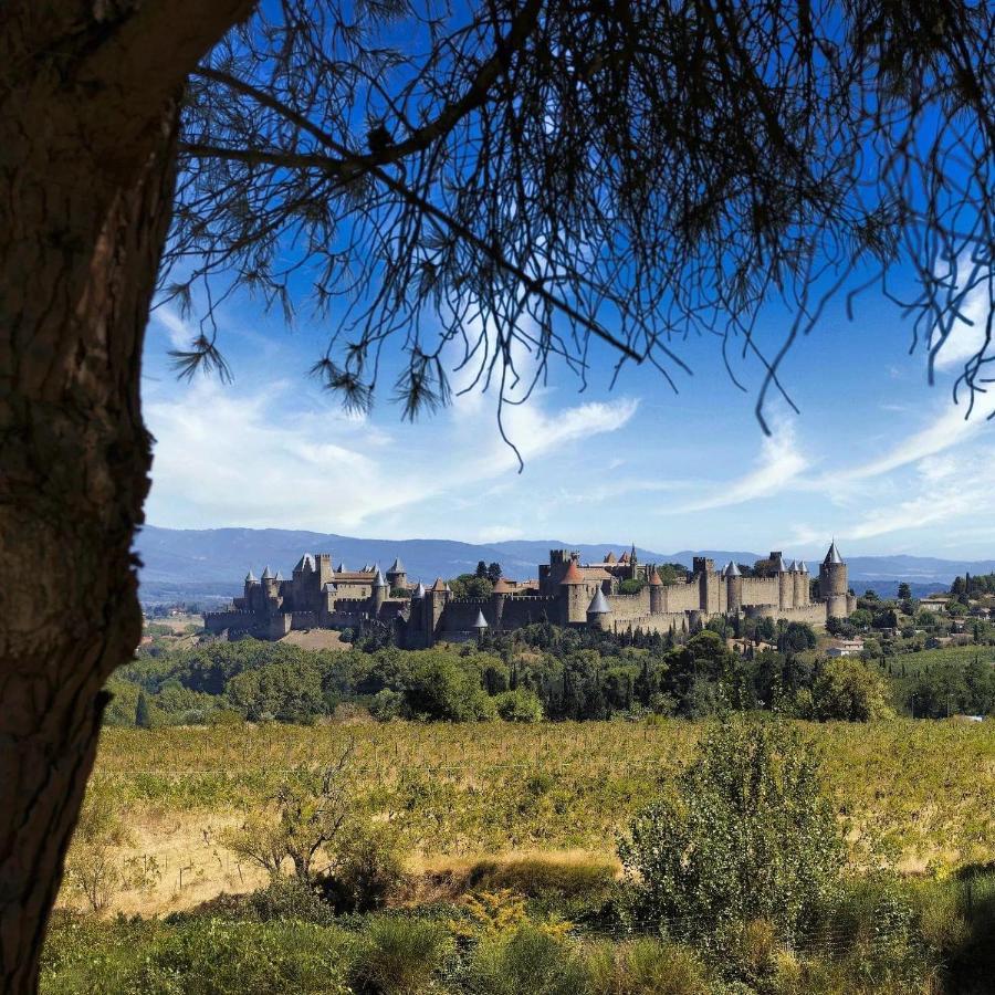 迈森德玛戈酒店 Peyriac-Minervois 外观 照片