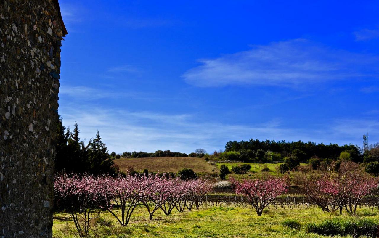 迈森德玛戈酒店 Peyriac-Minervois 外观 照片